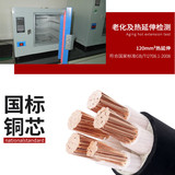 （国标）HYAT网络通信电缆