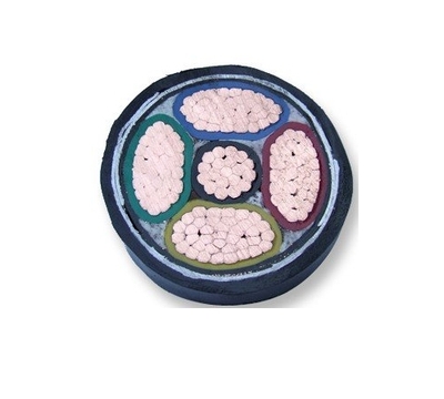 ZR-YJV阻燃电力电缆